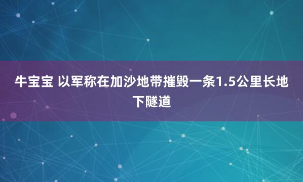 牛宝宝 以军称在加沙地带摧毁一条1.5公里长地下隧道