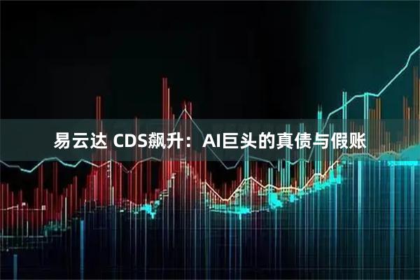 易云达 CDS飙升：AI巨头的真债与假账
