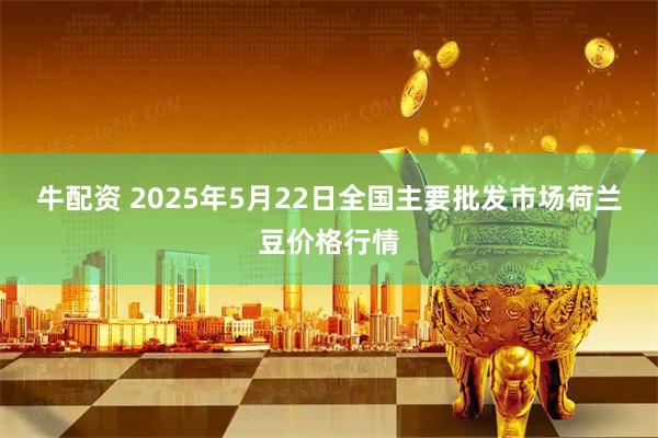 牛配资 2025年5月22日全国主要批发市场荷兰豆价格行情