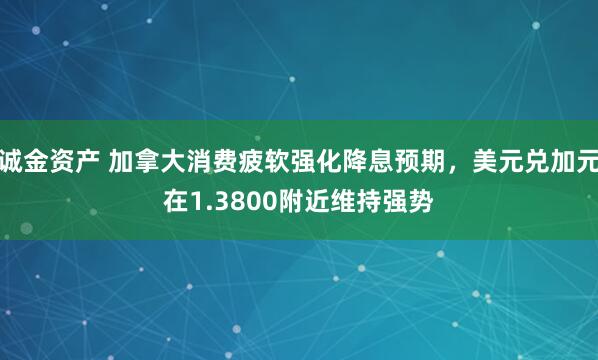 诚金资产 加拿大消费疲软强化降息预期，美元兑加元在1.3800附近维持强势